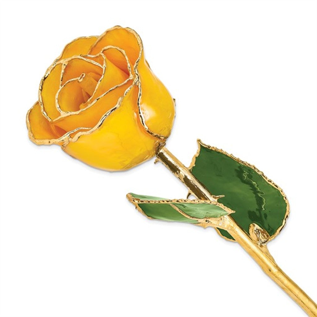 Lacquer Dipped Real Rose