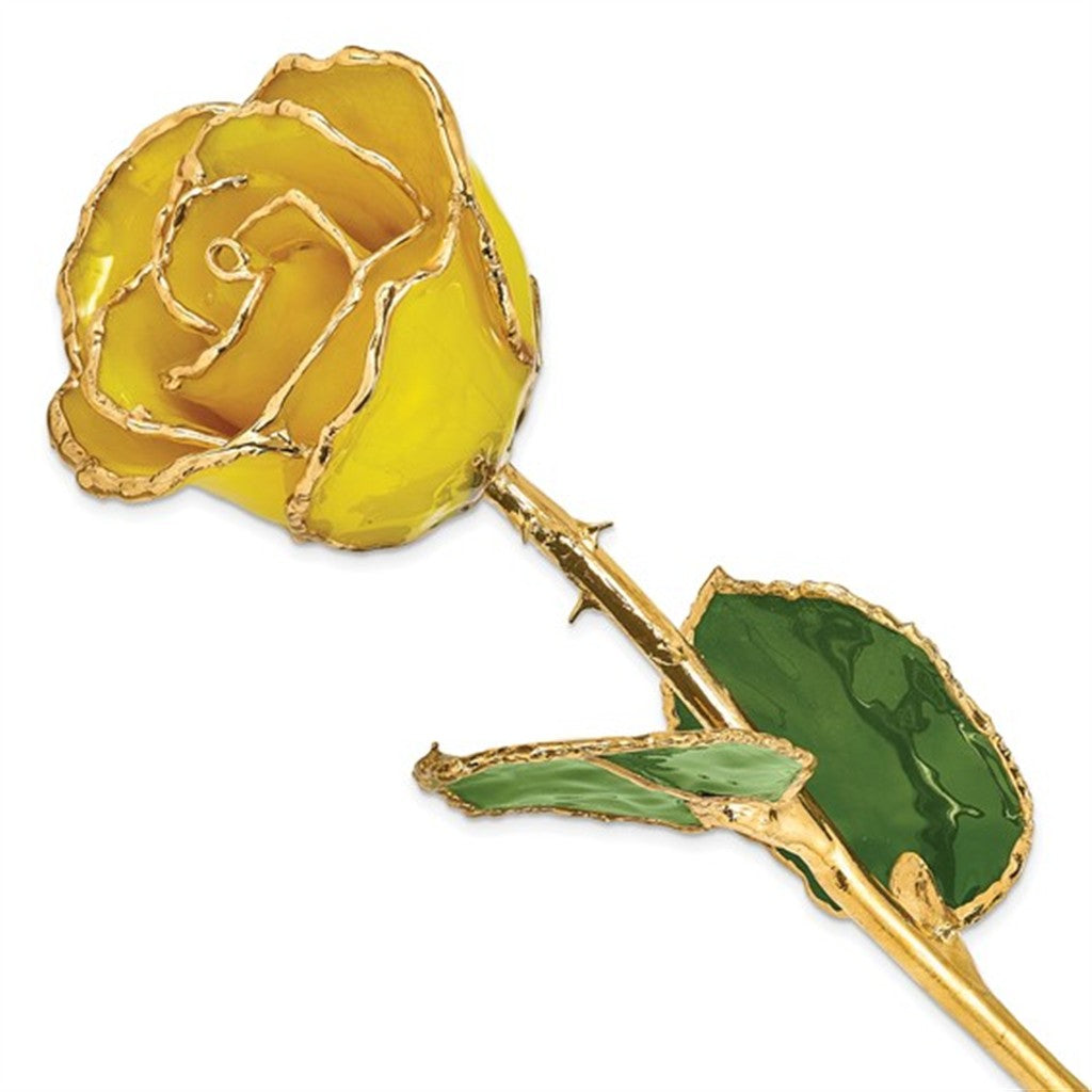 Laquer Rose