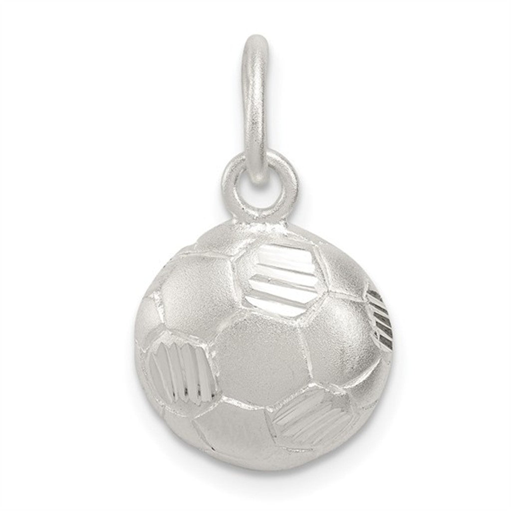 Pendant/ Charm