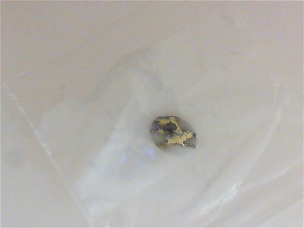 Oval Shape Quartz