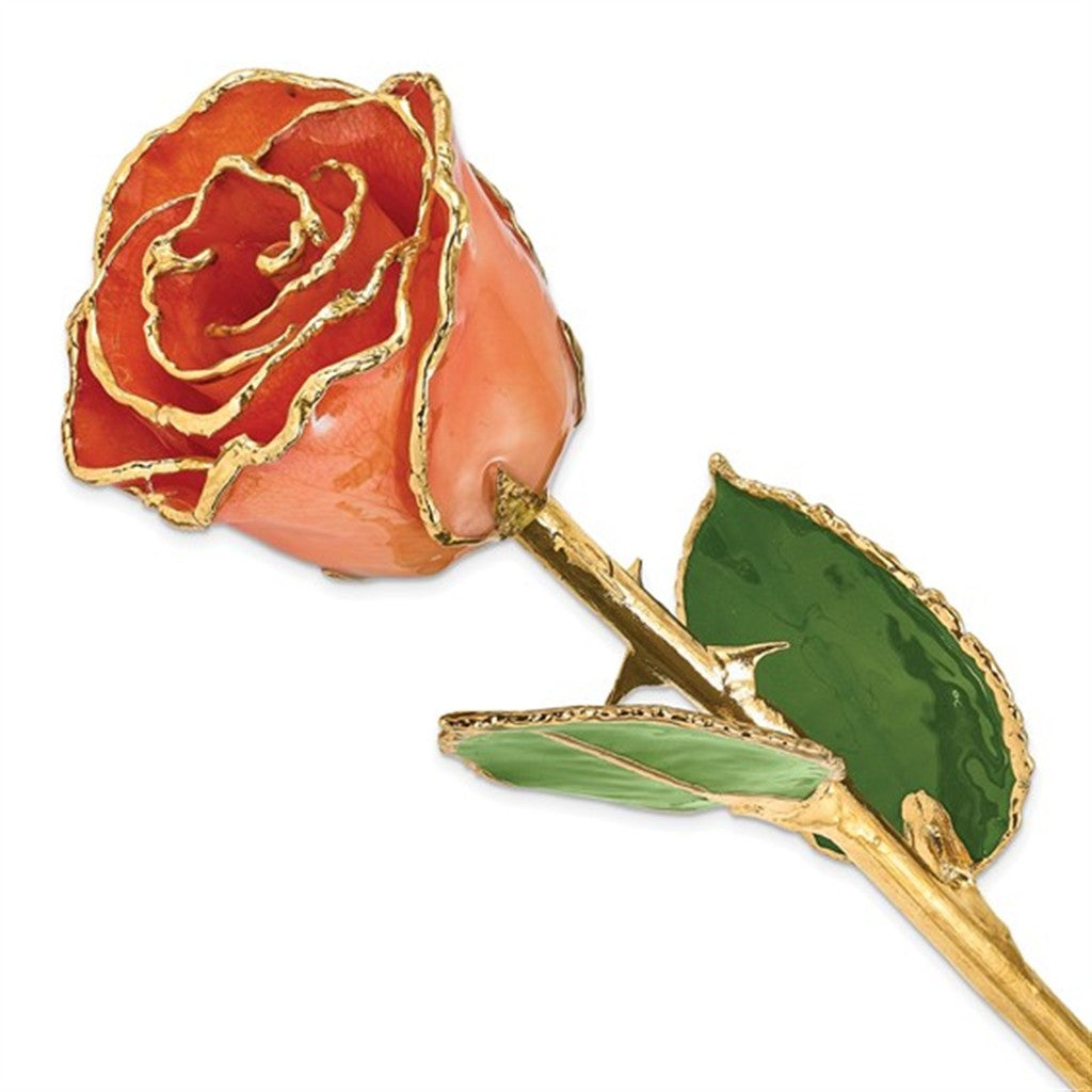 Lacquer Dipped Real Rose