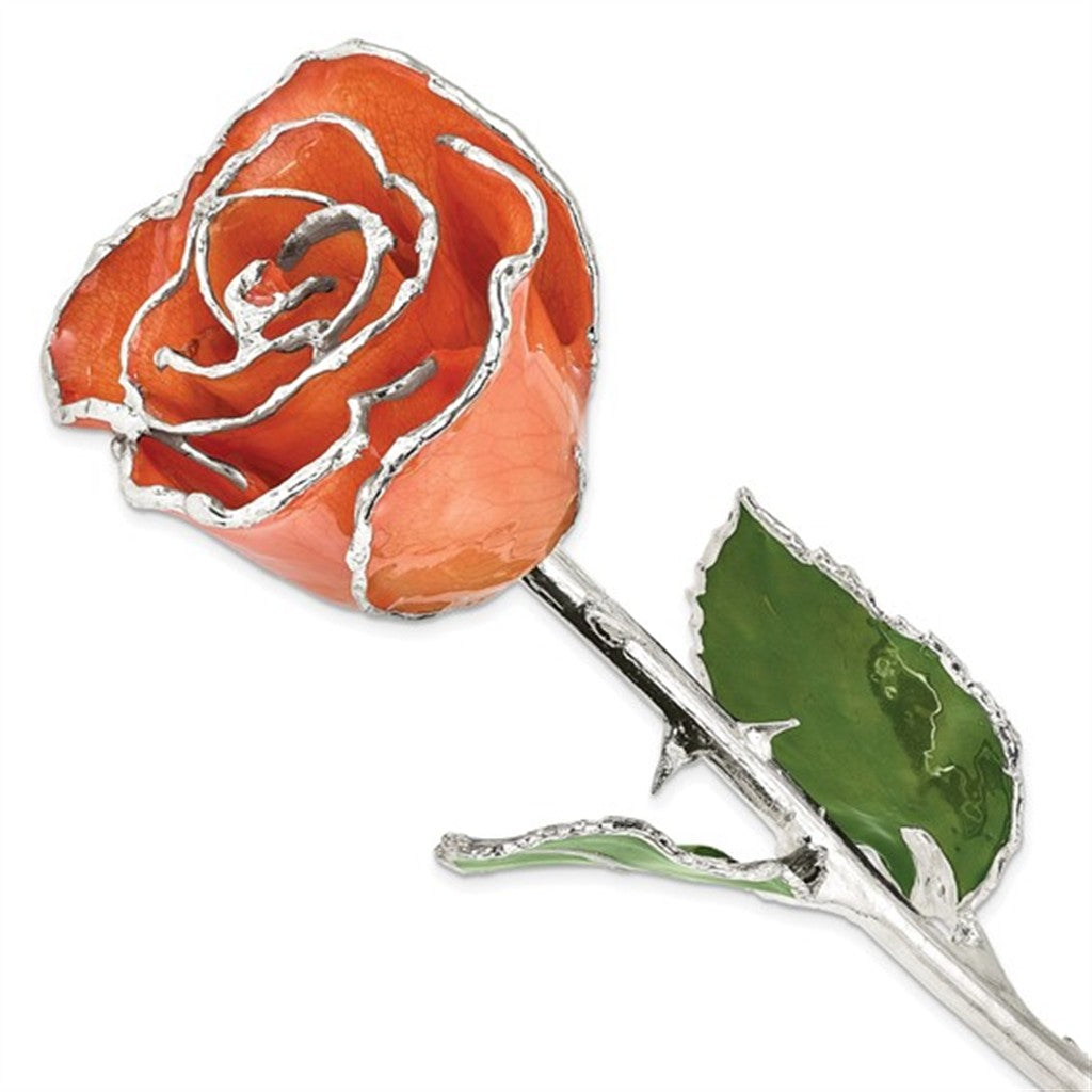 Lacquer Dipped Real Rose