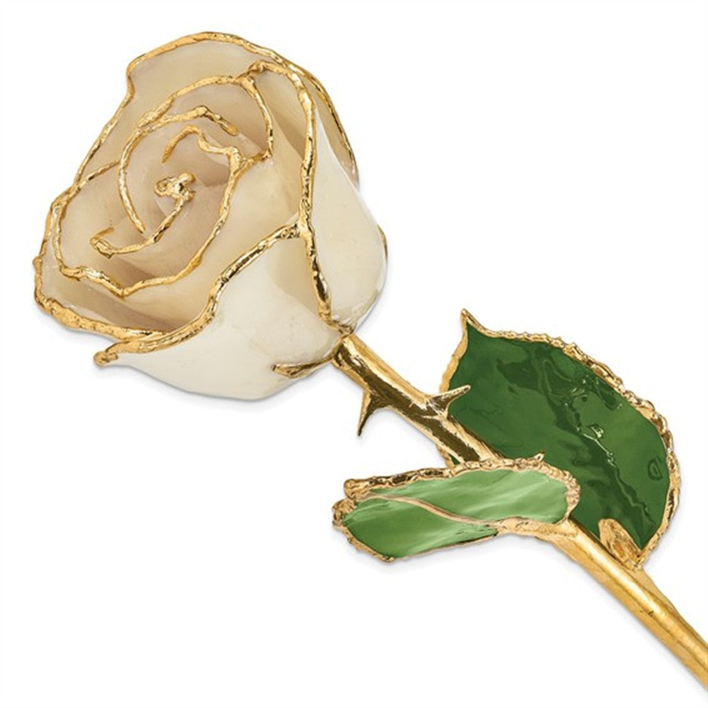 Lacquer Dipped Real Rose