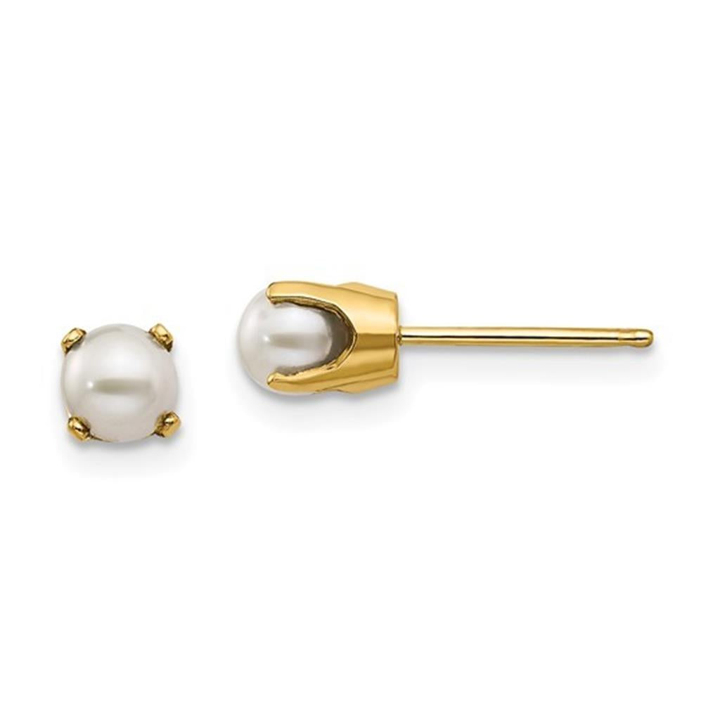 Dangle Earrings