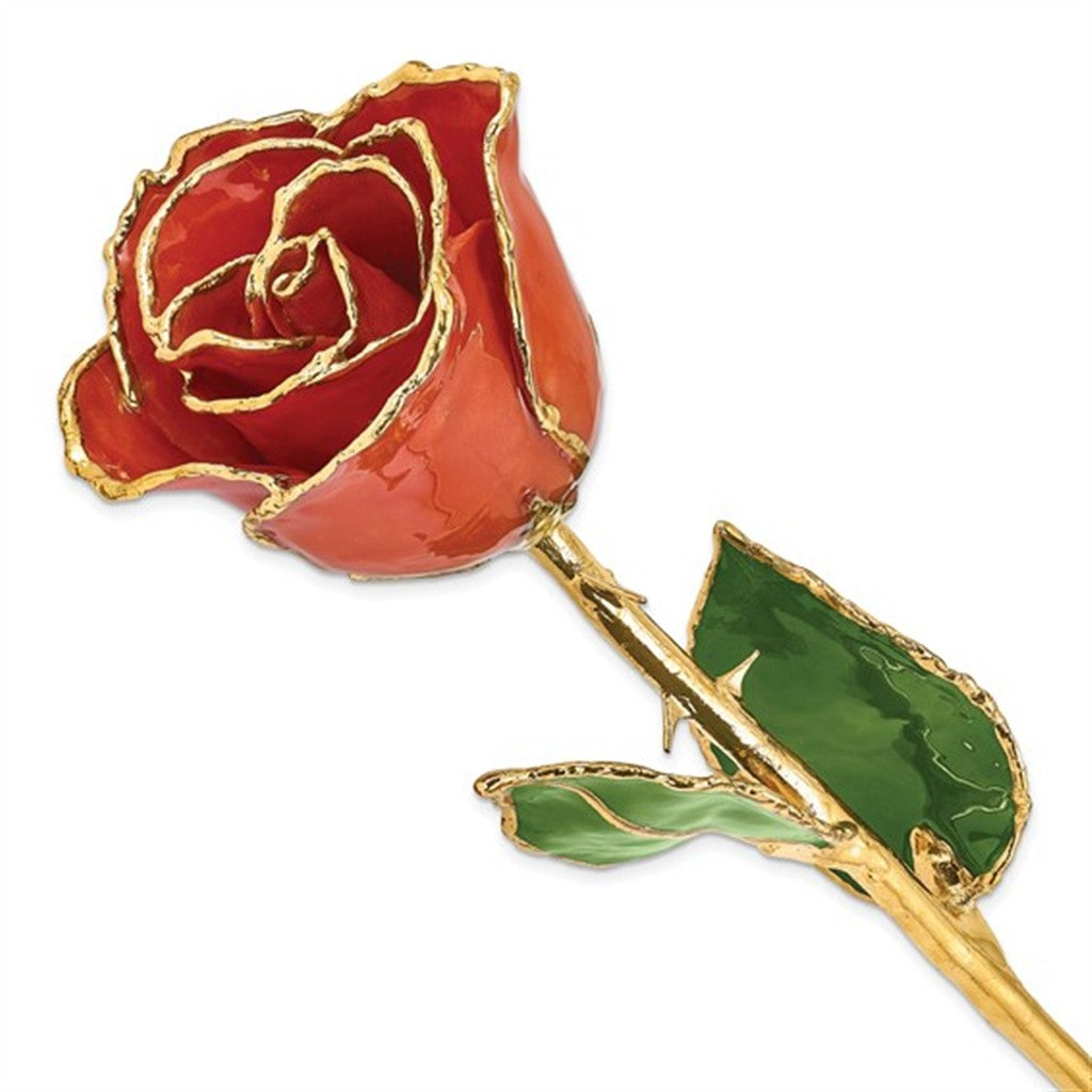 Lacquer Dipped Real Rose