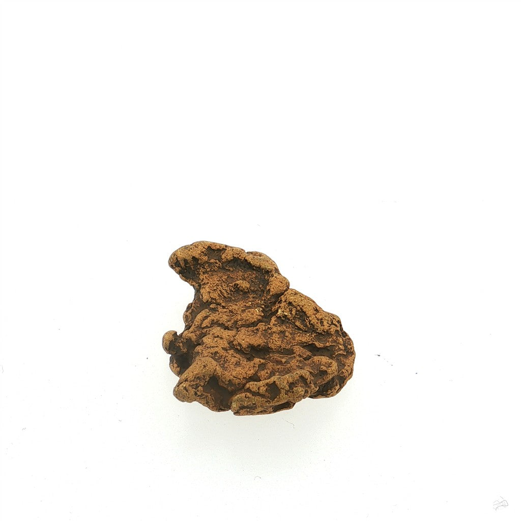 Natural Alaskan Gold Nugget
