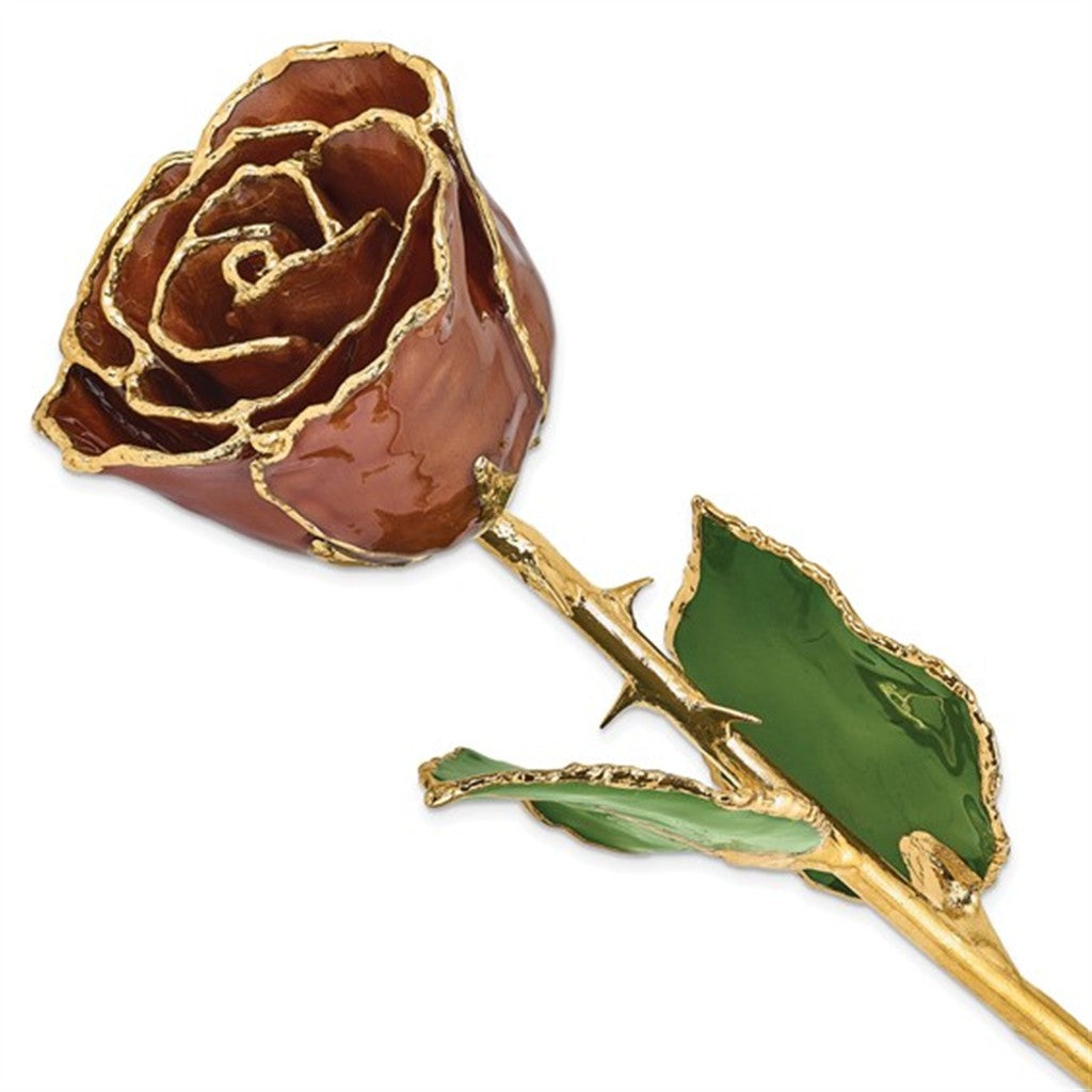 Romantic Lacquer Dipped Real Rose