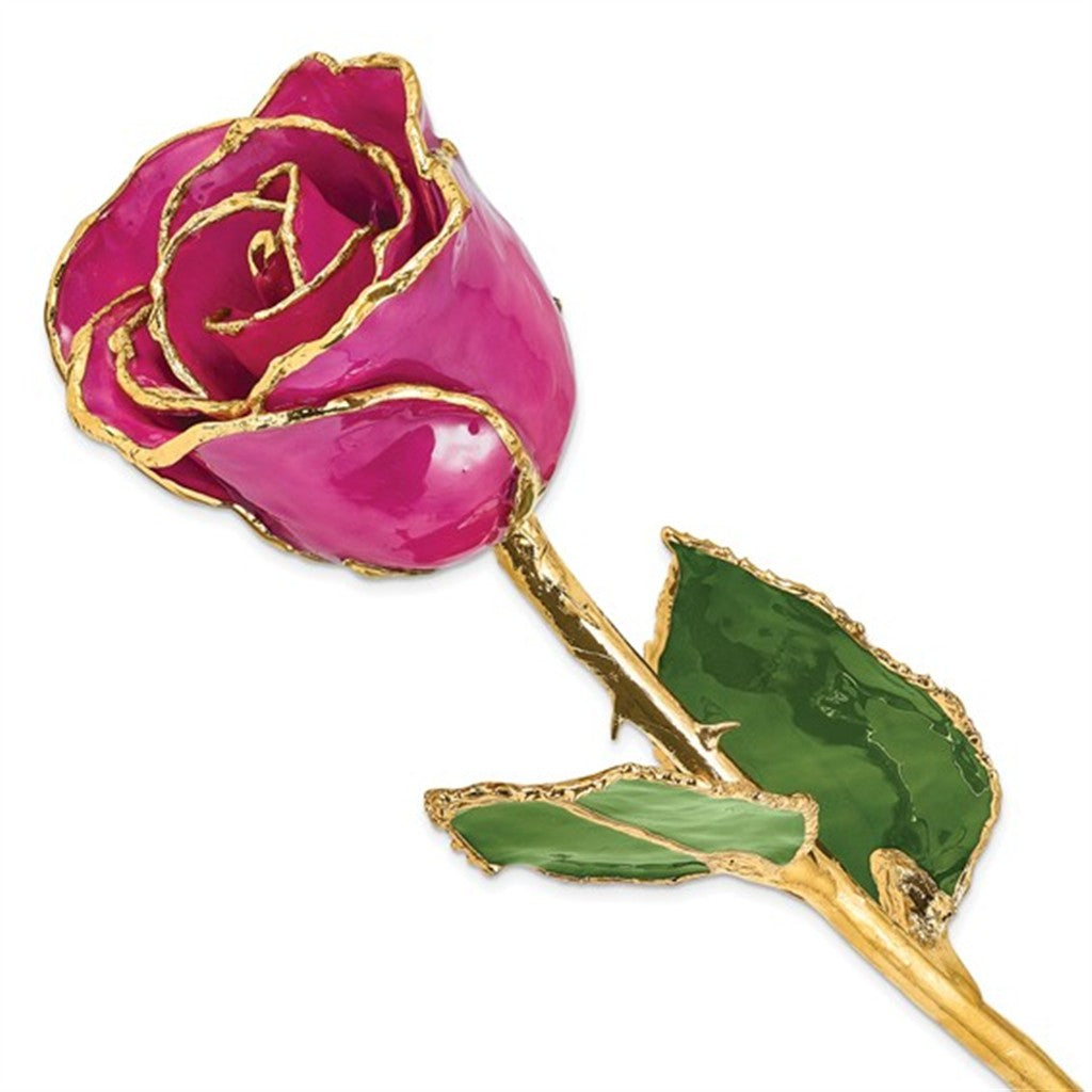 Fuchsia Laquer Rose