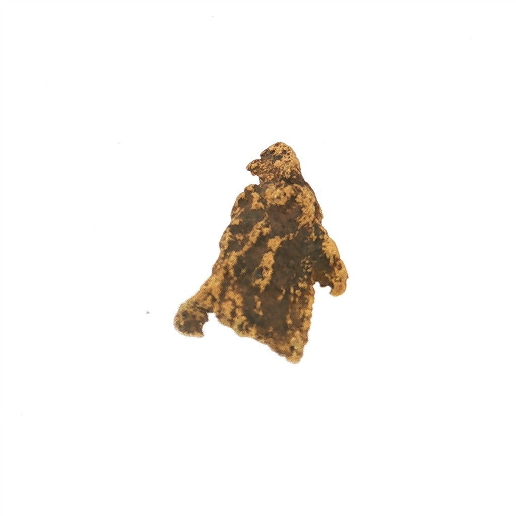 Natural Alaskan Gold Nugget