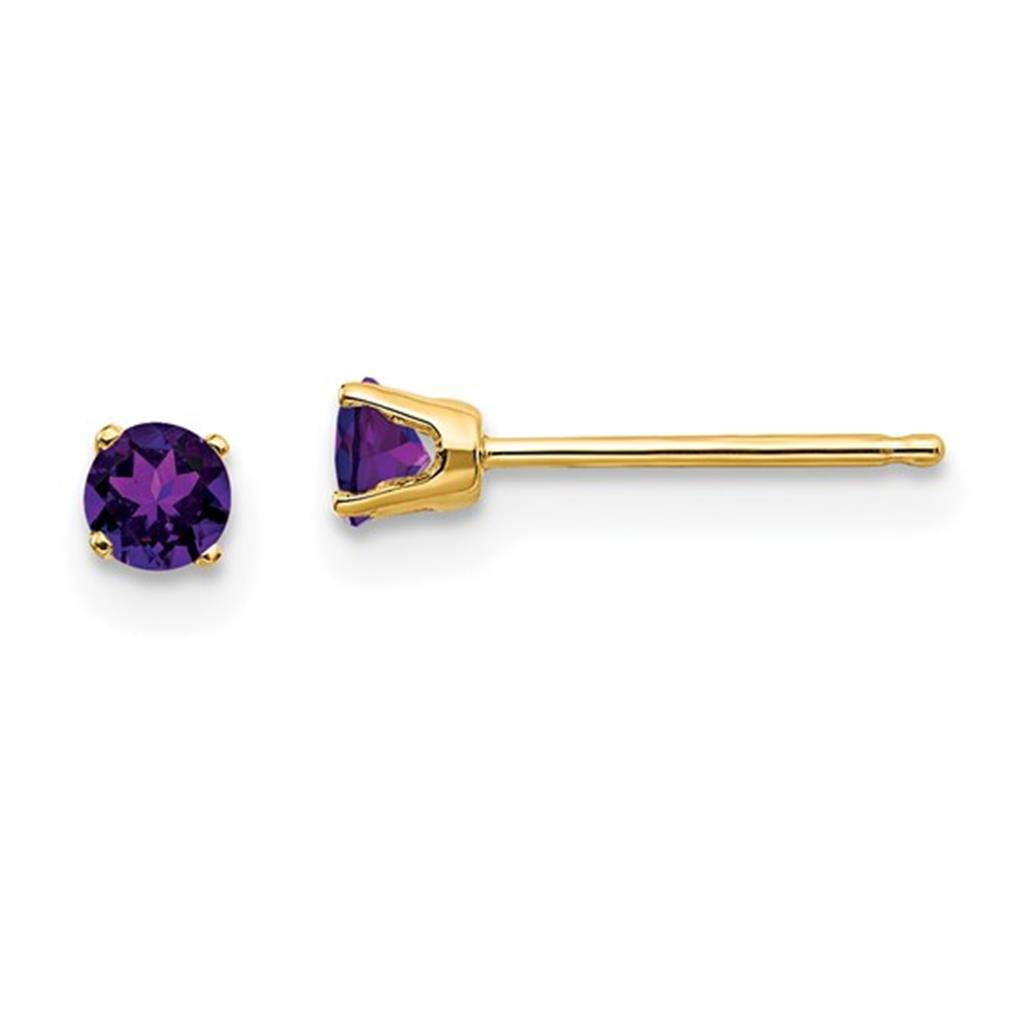 14 KT Yellow Birth Stone Stud Earrings With 4mm Round Amethysts
