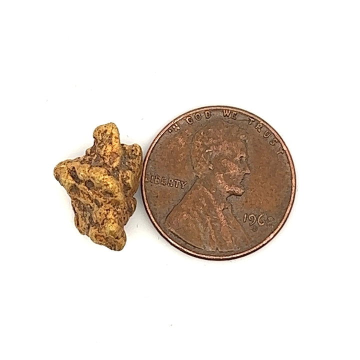 Natural Alaskan Gold Nugget