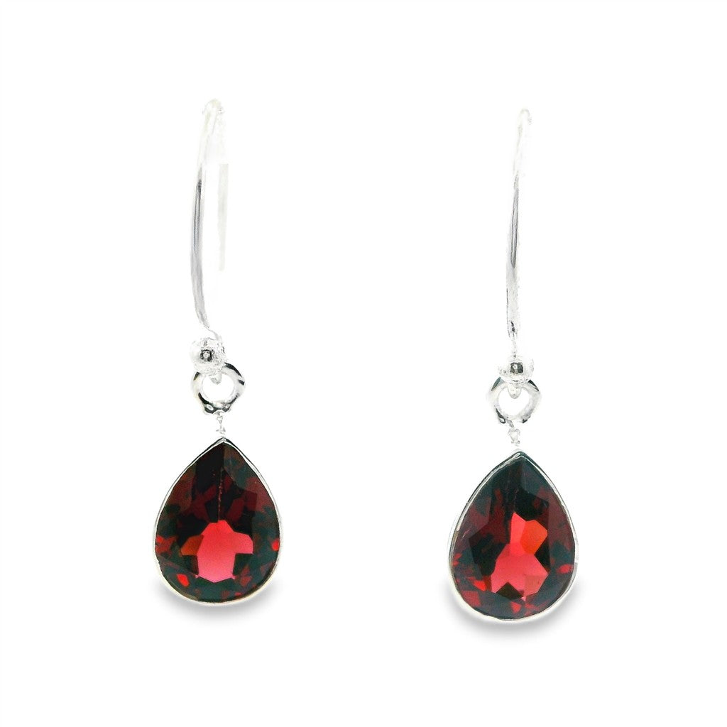Dangle Earrings Silver Colored Stones