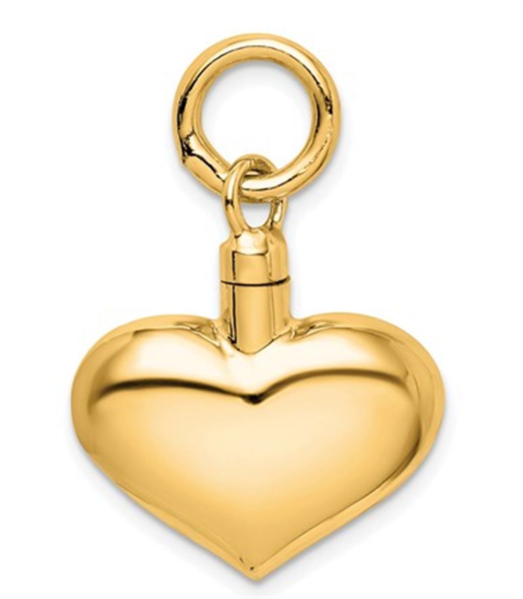 Pendant/ Charm