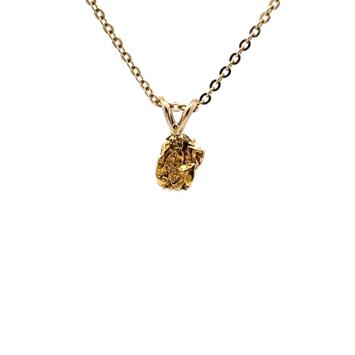 Drop Style Alaskana Pendant 14 Karat Gold & Alaskan Gold Nugget