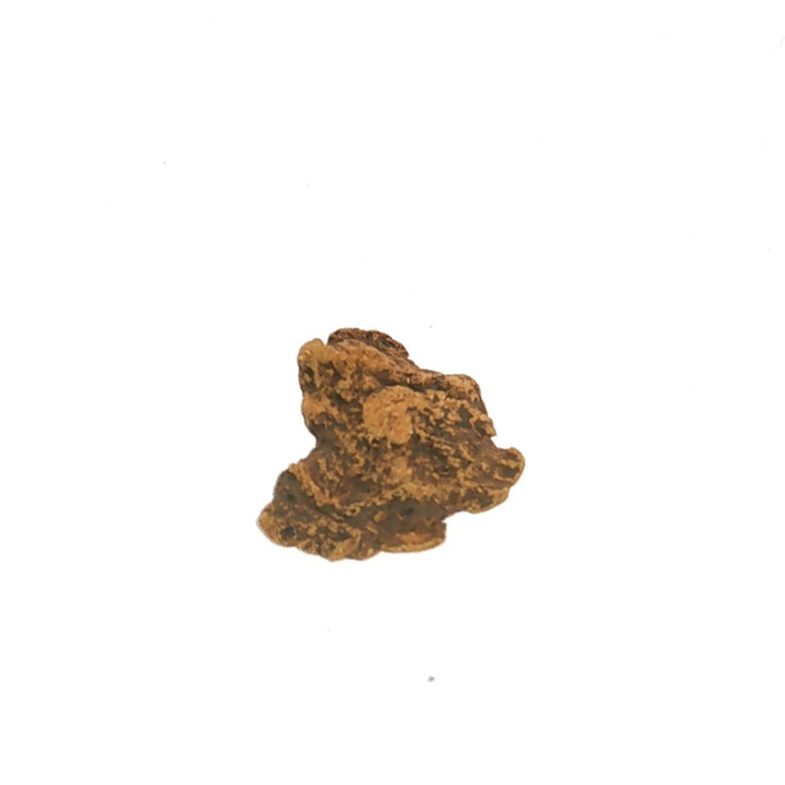 Natural Alaskan Gold Nugget